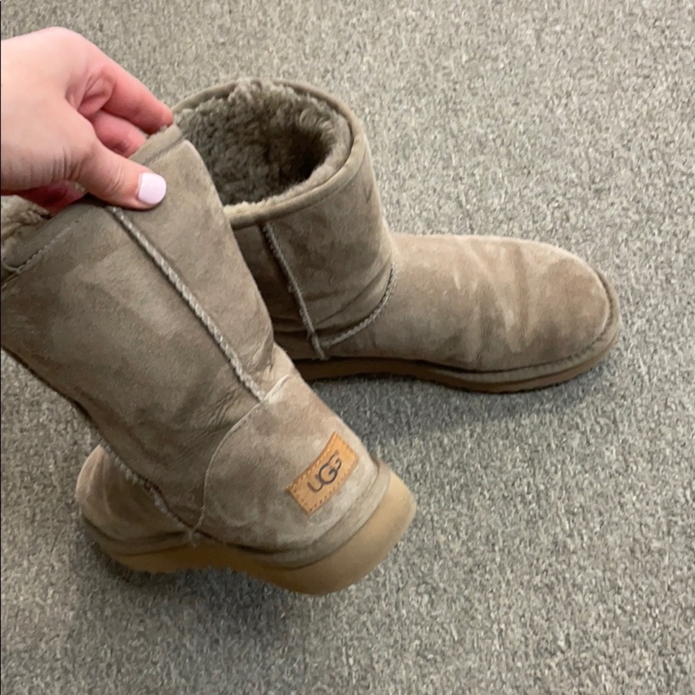 Taupe Short Uggs